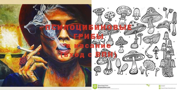прущая мука Арсеньев
