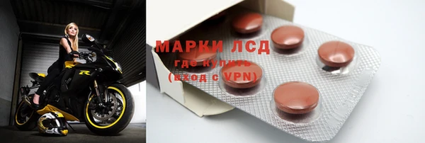 спиды Аркадак