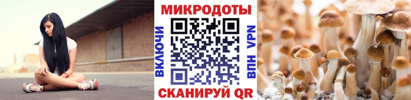 kraken вход  закладка  Козьмодемьянск  Галлюциногенные грибы GOLDEN TEACHER 