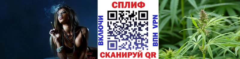наркота  Козьмодемьянск  Бошки Шишки Ganja 